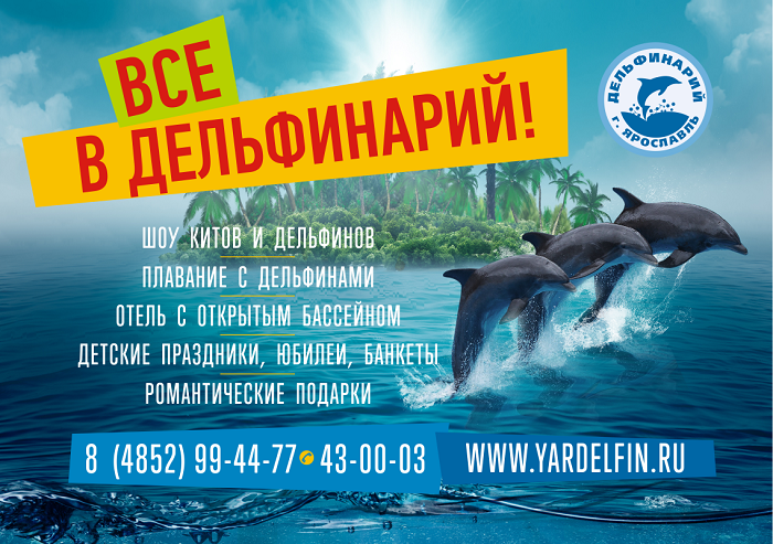 Шоу-программа Ярославского дельфинария