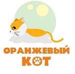 Оранжевый кот 