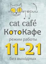 КОфеТЕрий, котокафе