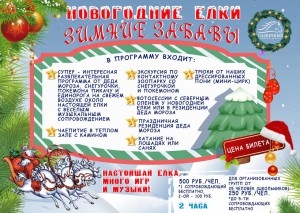 Зимние забавы