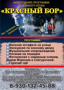 Новогодняя программа от конного клуба