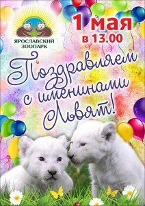 Именины львят