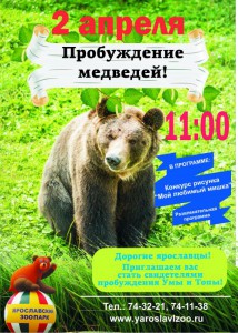 Пробуждение медведей