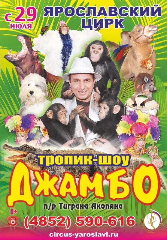 Джамбо, тропик-шоу