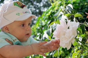 Павел-Рафаил в Губернаторском саду