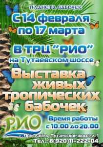 Планета бабочек
