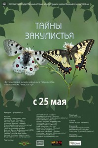"Тайны ЗакуЛистья"