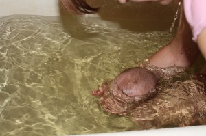 Конкурс "Как рыба в воде!". Фото 31