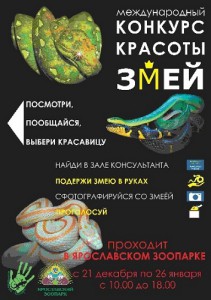 Конкурс красоты среди змей