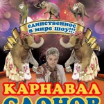 "Карнавал слонов" в Ярославском цирке
