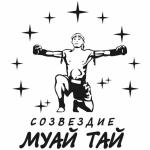 Созвездие муай тай