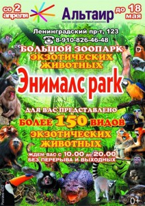 Энималс park в Ярославле