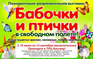 Выставка бабочек в Ярославле