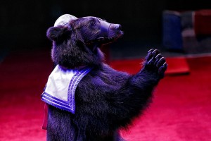 Звёздный десант в Ярославле