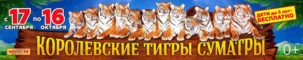 Королевские тигры Суматры