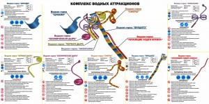 Водные аттракционы ярославского аквапарка Водные аттракционы ярославского аквапарка