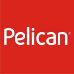 Pelican