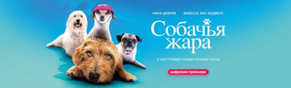 «Собачья жара»